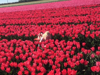 Holiday house Stylish holiday home by the sea - Environment photo 29