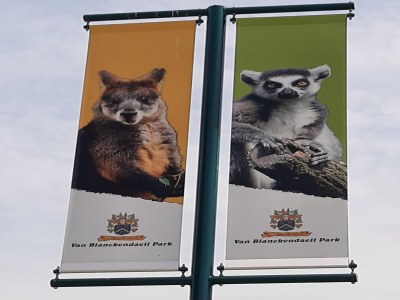 Holiday house Stylish holiday home by the sea - Environment photo 30