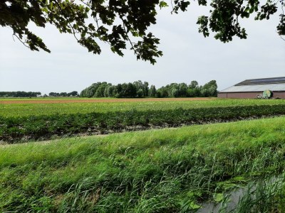 Holiday house Stylish holiday home by the sea - Environment photo 35