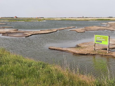 Holiday house Stylish holiday home by the sea - Environment photo 36