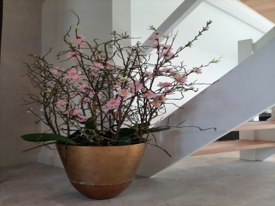 Holiday house Stylish holiday home by the sea - Outdoor photo 38