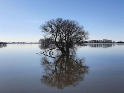 Holiday house Holiday home in Hattemerbroek with smart TV - Environment photo 30