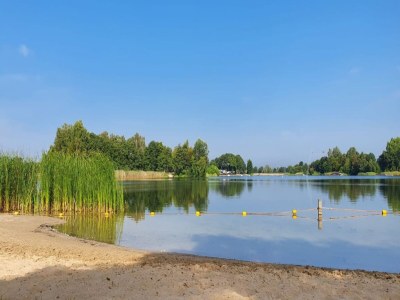 Holiday house Holiday home in Hattemerbroek with smart TV - Environment photo 36