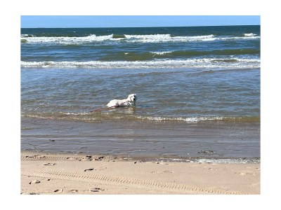 Holiday house Ouddorp Grevelingen 60 - Environment photo 21