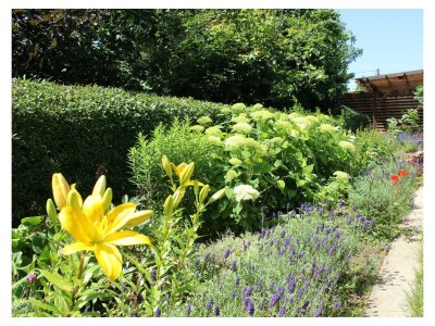 Apartment 5-Bett-Ferienwohnung Bad/WC, 3 Schlafräume - Outdoor photo 4