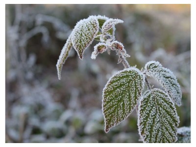 Apartment 5-Bett-Ferienwohnung Bad/WC, 3 Schlafräume - Outdoor photo 10