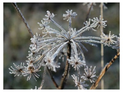 Apartment 5-Bett-Ferienwohnung Bad/WC, 3 Schlafräume - Outdoor photo 11