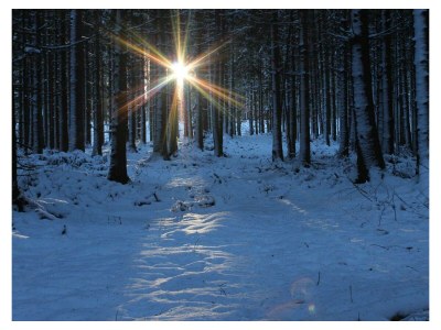 Apartment 5-Bett-Ferienwohnung Bad/WC, 3 Schlafräume - Outdoor photo 12