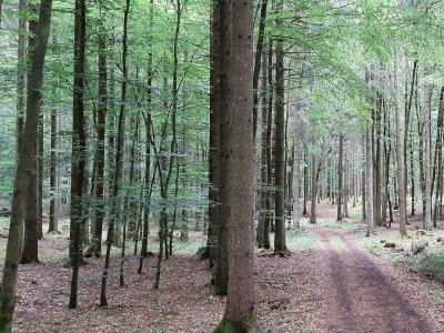 Apartment 2-Bett-Ferienwohnung Familie Mohrs, Du/WC - Outdoor photo 16