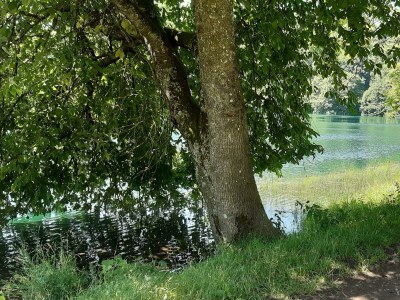 Apartment 2-Bett-Ferienwohnung Familie Mohrs, Du/WC - Outdoor photo 17