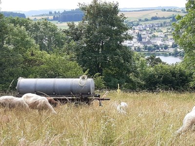 Apartment 2-Bett-Ferienwohnung Familie Mohrs, Du/WC - Outdoor photo 18