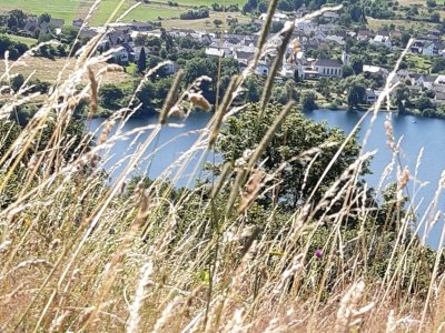 Apartment 2-Bett-Ferienwohnung Familie Mohrs, Du/WC - Outdoor photo 24