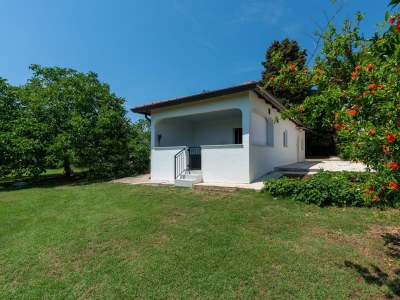 Holiday house Saladinka with Whirlpool - Outdoor photo 3