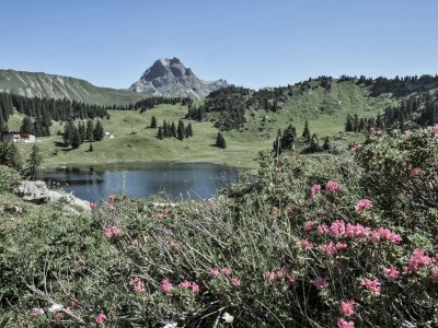 Chalet No title - Environment photo 33