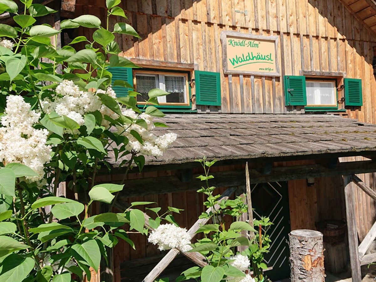 Holiday house Waldhäusl