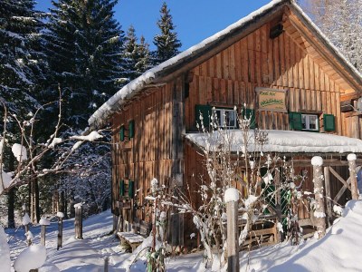 Holiday house Waldhäusl - Outdoor photo 11