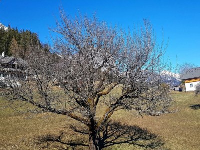 Holiday house Rosl - Outdoor photo 11