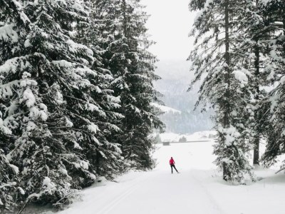 Apartment /Fewo, Dusche, WC, 1 Schlafraum - Outdoor photo 6