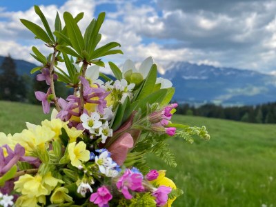 Apartment /Fewo, Dusche, WC, 1 Schlafraum - Outdoor photo 23