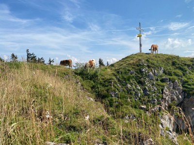 Apartment /Fewo, Dusche, WC, 2 Schlafräume - Outdoor photo 24