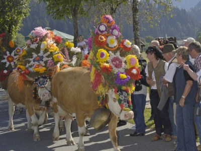 Holiday apartment Bichler - Environment photo 13