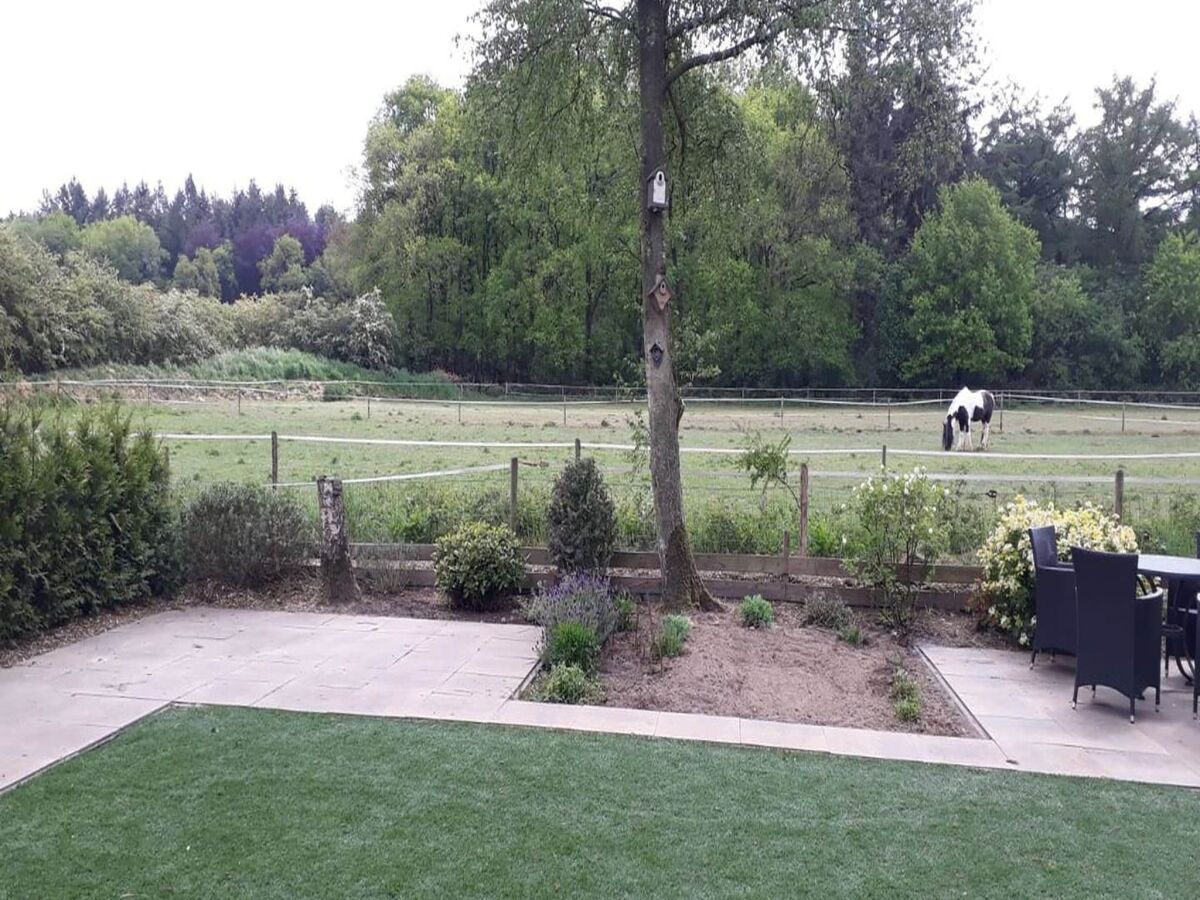 Chalet Glasveranda Chalet in der Natur - Outdoor photo 2