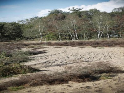Chalet Glasveranda Chalet in der Natur - Environment photo 29