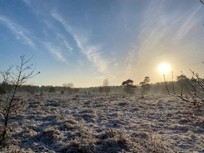 Chalet Glasveranda Chalet in der Natur - Environment photo 33