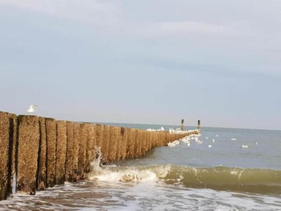 Chalet Chalet in Oostkapelle near Beach & Pool - Environment photo 32