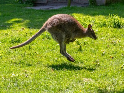 Apartment Apartment near the Beach - Outdoor photo 35