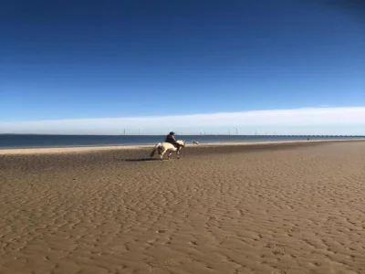 Apartment 4-Person Stay at Rustenpolder - Environment photo 20