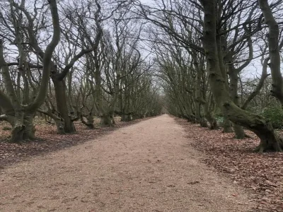 Apartment 4-Person Stay at Rustenpolder - Environment photo 24