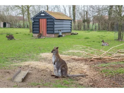 Apartment 4-Person Stay at Rustenpolder - Environment photo 26