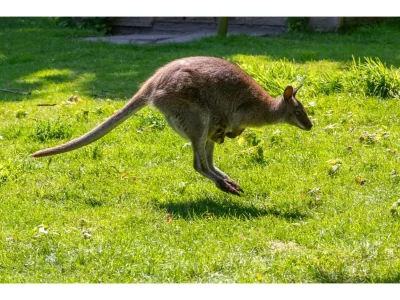 Apartment 4-Person Stay at Rustenpolder - Environment photo 38