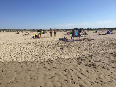 Holiday house Peaceful Retreat near Zeeland Beach - Environment photo 16