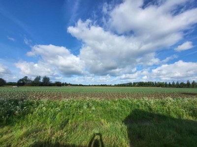 Holiday house Peaceful Retreat near Zeeland Beach - Environment photo 29
