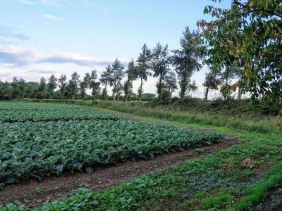Holiday house Peaceful Retreat near Zeeland Beach - Environment photo 30