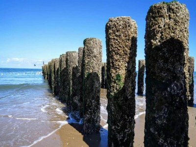 Holiday house Peaceful Retreat near Zeeland Beach - Environment photo 32