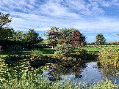Holiday house Peaceful Retreat near Zeeland Beach - Environment photo 34