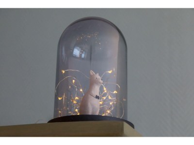 Holiday house Peaceful Retreat near Zeeland Beach - Outdoor photo 40