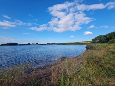 Holiday house Meeresruhe in Vemmingbund-By Traum - Outdoor photo 12