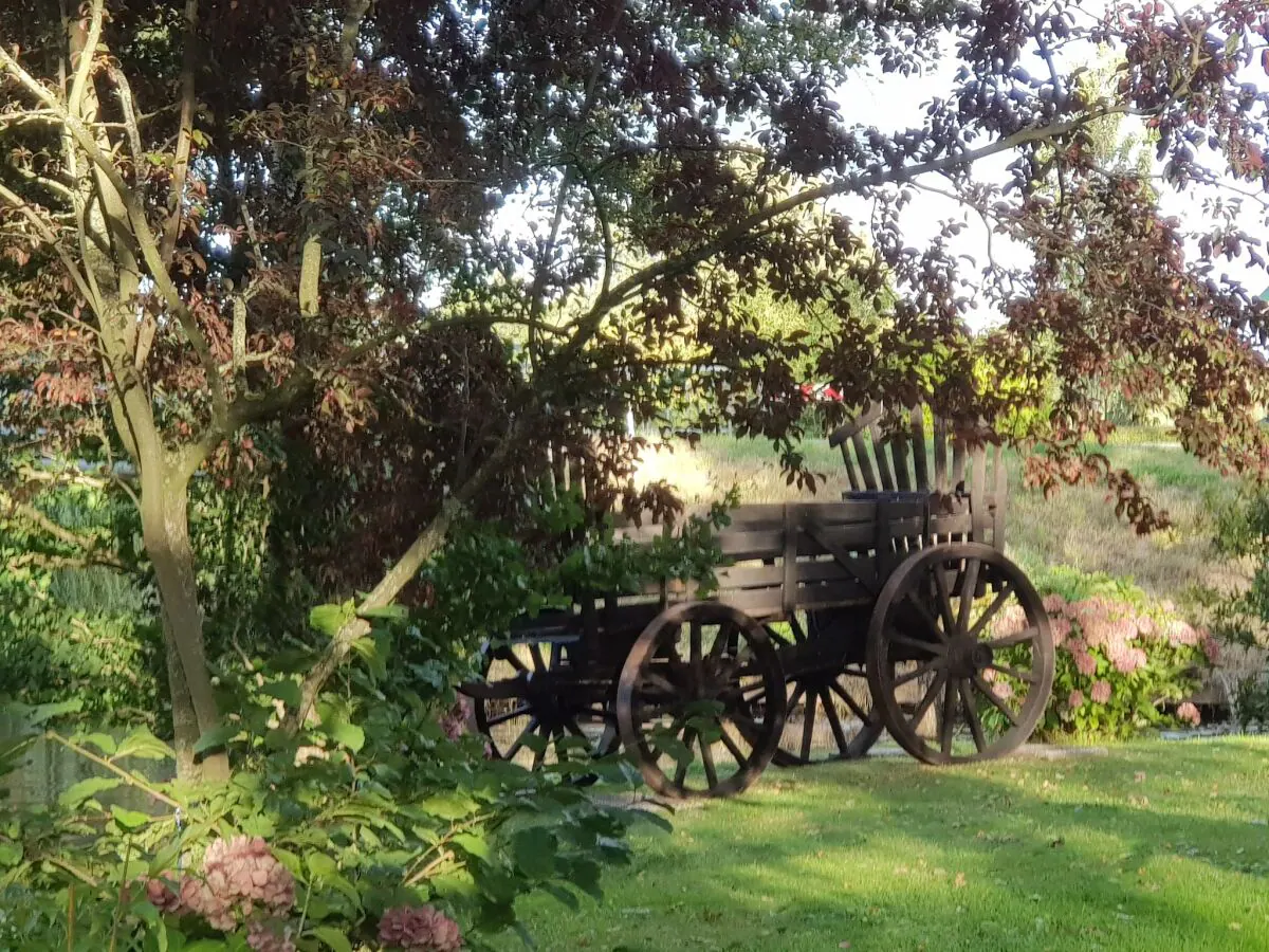 Farmhouse Gruppenhaus in Giethoorn mit Wasserterrasse - Outdoor photo 2
