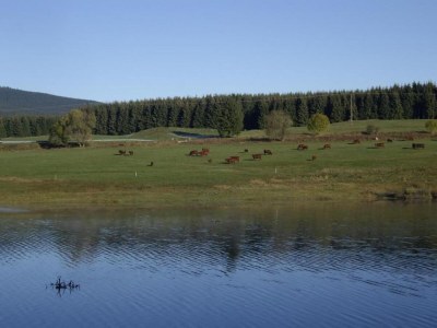 Holiday house Ferienhaus mit Wellnessbereich in Elend - Environment photo 24