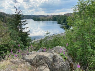 Holiday house Ferienhaus mit Wellnessbereich in Elend - Environment photo 29