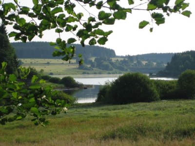 Holiday house Ferienhaus mit Wellnessbereich in Elend - Environment photo 35