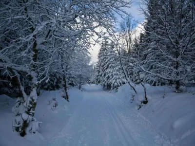 Holiday house Ferienhaus mit Wellnessbereich in Elend - Environment photo 36