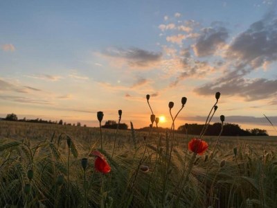 Apartment Ferienwohnung in Struppen - Environment photo 30