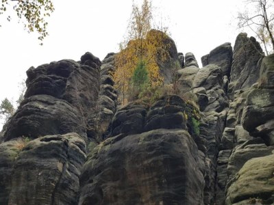 Apartment Ferienwohnung in Struppen - Environment photo 34