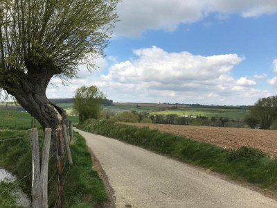 Holiday house Stattlicher Gutshof für 16 Personen in Süd-Limburg. - Environment photo 22