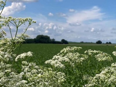 Holiday house Stattlicher Gutshof für 16 Personen in Süd-Limburg. - Environment photo 31